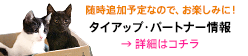タイアップ・パートナー情報 | 随時追加予定なので、お楽しみに! → 詳細はコチラ