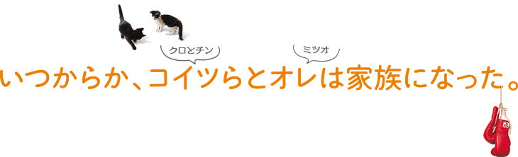 いつからか、コイツらとオレは家族になった。